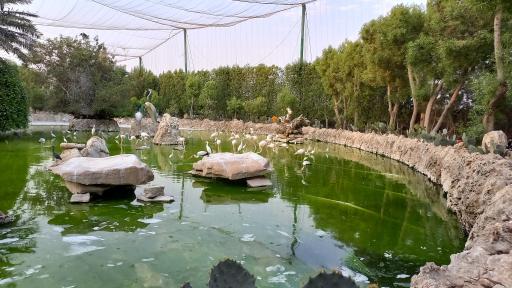 عکس باغ پرندگان کیش