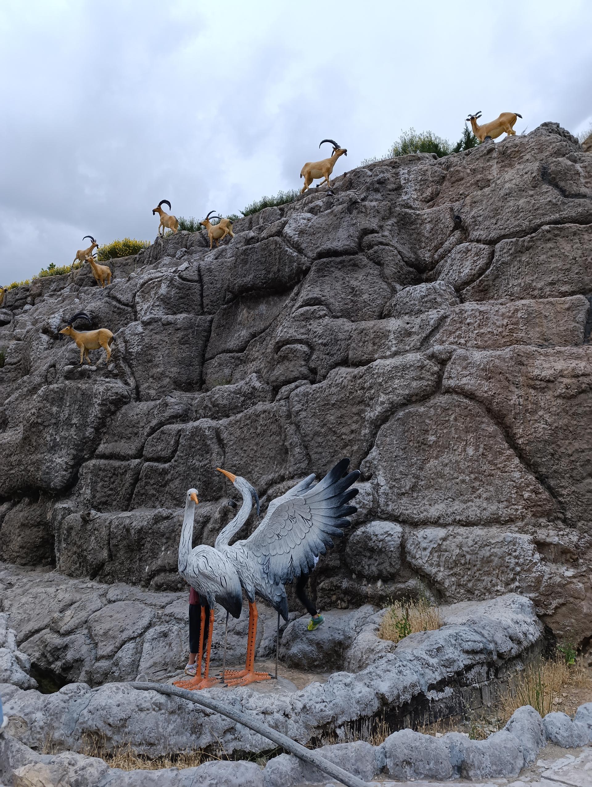 عکس آب نما میدان معلم دماوند