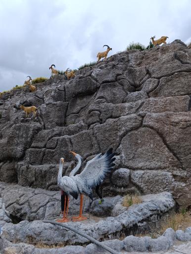 عکس آب نما میدان معلم دماوند