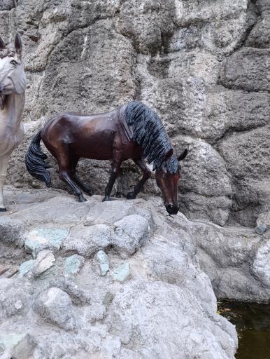 عکس آب نما میدان معلم دماوند