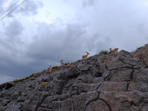 عکس آب نما میدان معلم دماوند