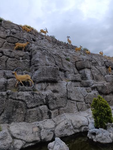 عکس آب نما میدان معلم دماوند