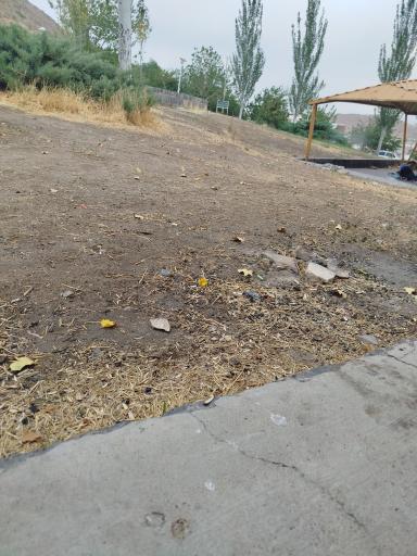 عکس مجموعه تفریحی ائل داغی (گاوازنگ)