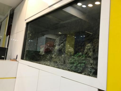 عکس کلینیک دندانپزشکی فروردین