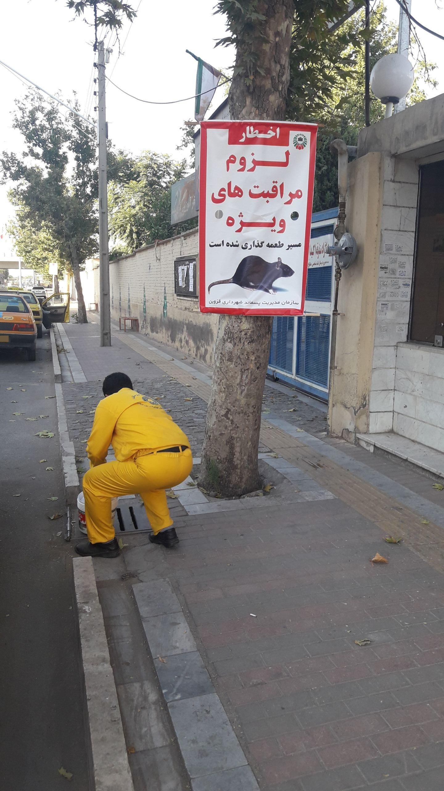 عکس شرکت گل سم بهارستان