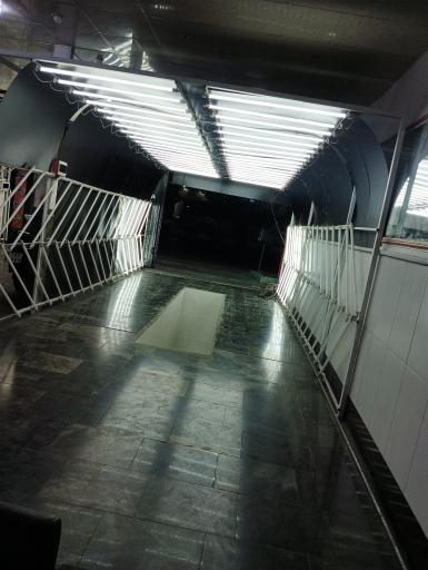 عکس تشخیص رنگ باقری 