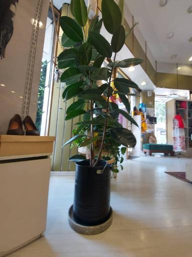 عکس فروشگاه دیباج