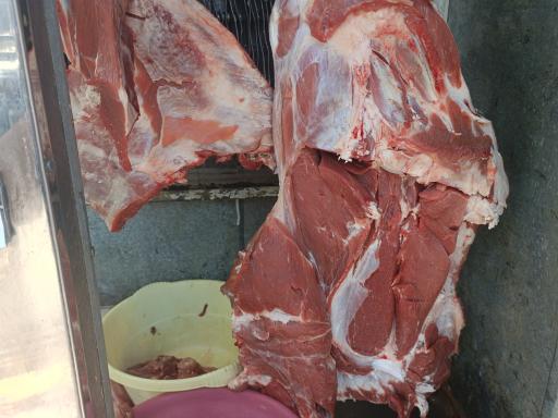 عکس قصابی و کبابی طلوعی