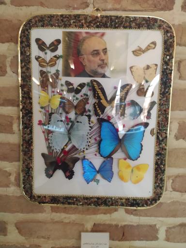 عکس موزه ملت