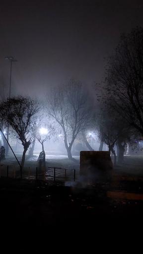 عکس پارک مولوی