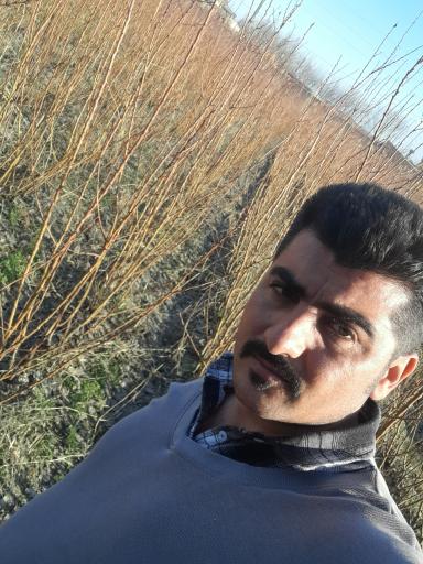 عکس نهالستان عباس وند