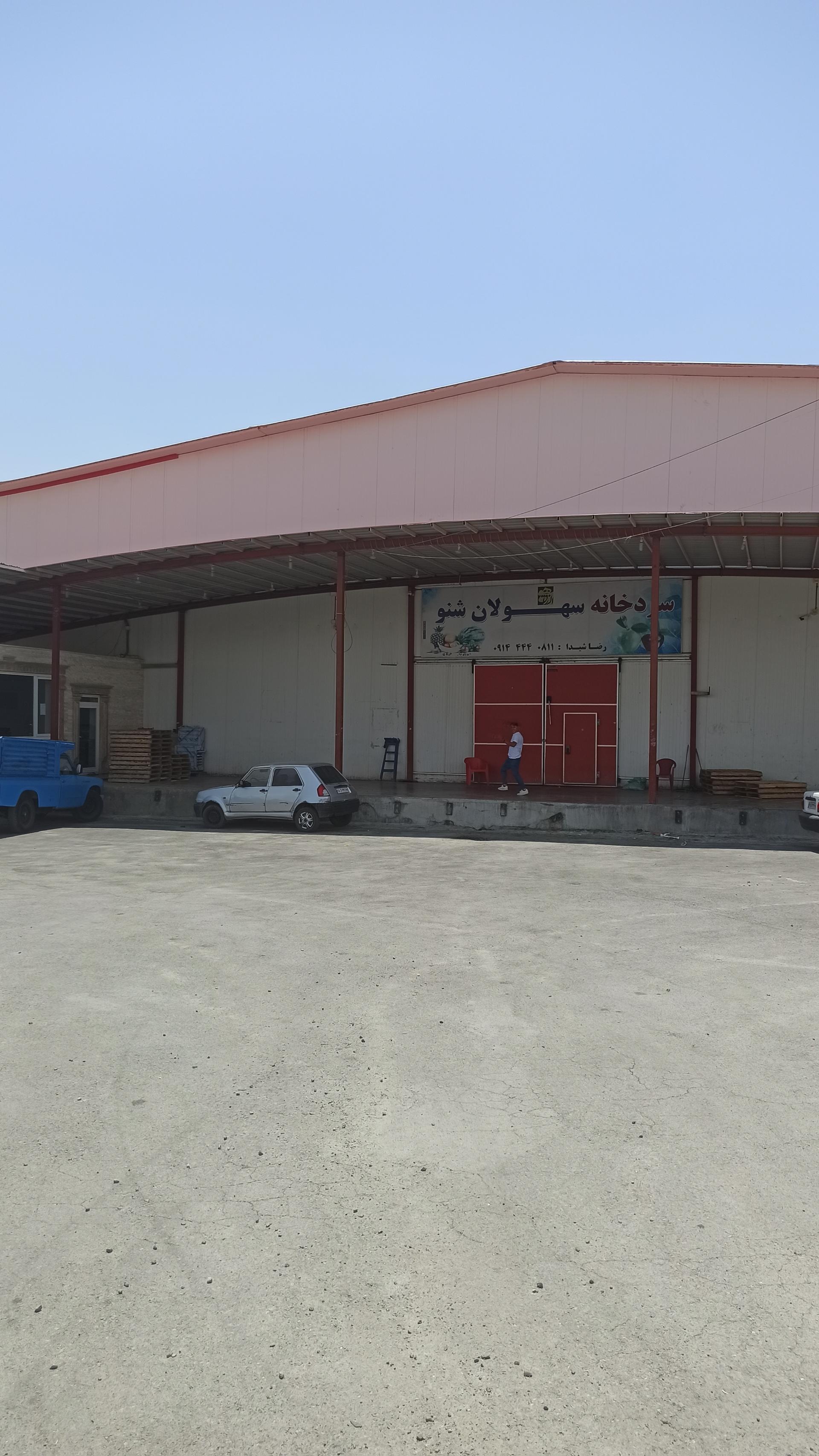 عکس سردخانه و سورتینگ شیدا