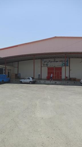 عکس سردخانه و سورتینگ شیدا