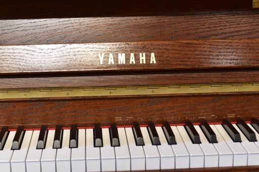 عکس فروشگاه لوازم موسیقی وحدتی