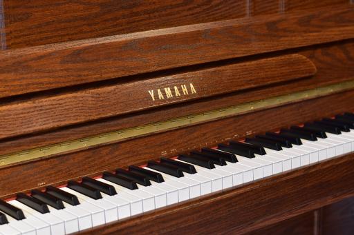 عکس فروشگاه لوازم موسیقی وحدتی