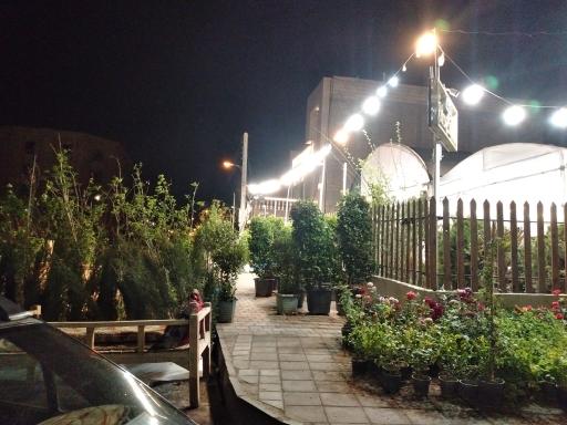 عکس گلخانه آفتابگردان