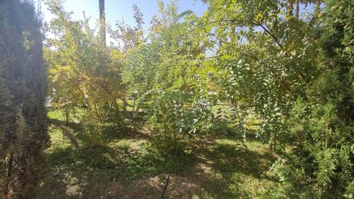 عکس پارک آزادگان