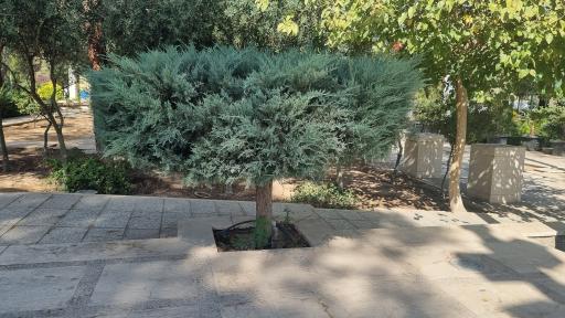 عکس پارک آزادگان