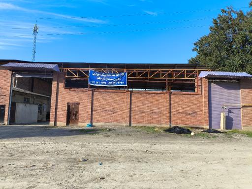 عکس کارخانه برنج ممتاز تازیکه