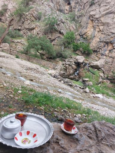 عکس صبحانه سرای آنل