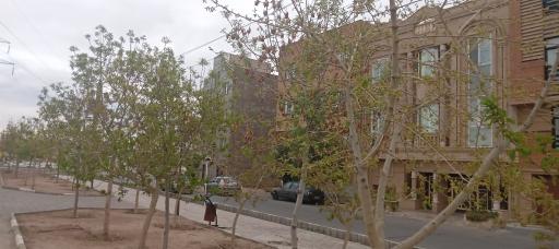 عکس بوستان زمستان