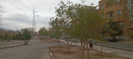 عکس بوستان زمستان