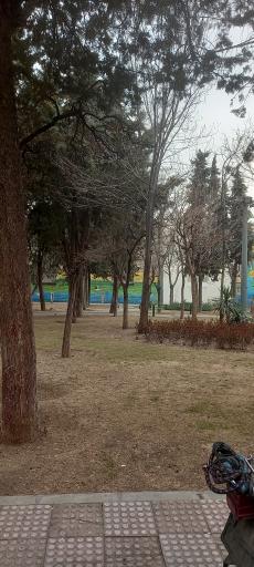 عکس بوستان برزین