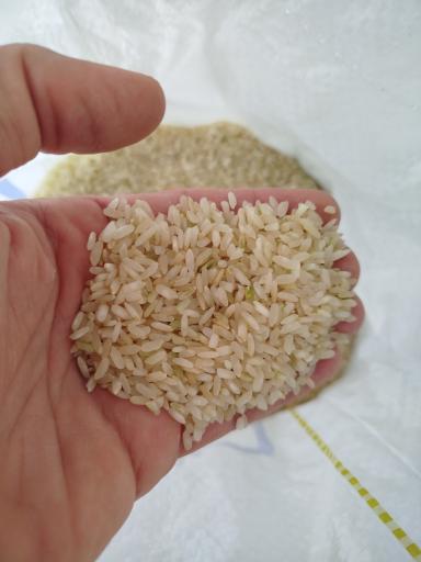 عکس فروشگاه برنج و حبوبات قائم