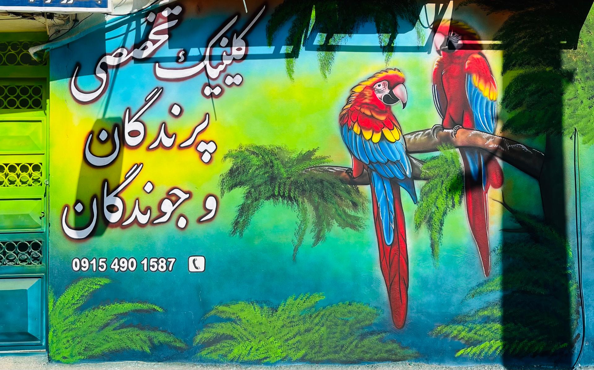 عکس کلینیک پرندگان و جوندگان کوکو