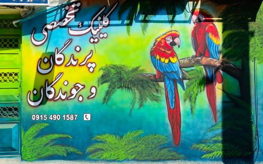 عکس کلینیک پرندگان و جوندگان کوکو