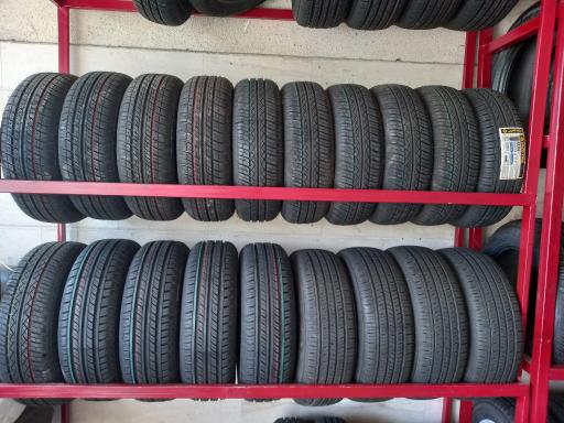 عکس رینگ ولاستیک آرش