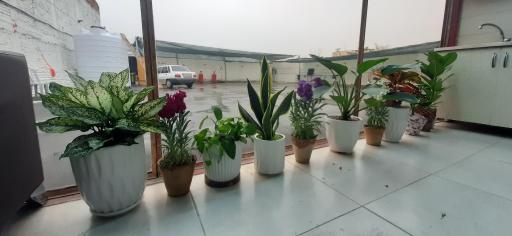 عکس کارواش بخار شاهان