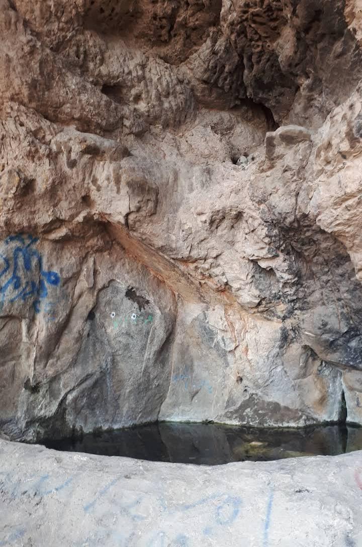 عکس چشمه شیردوش
