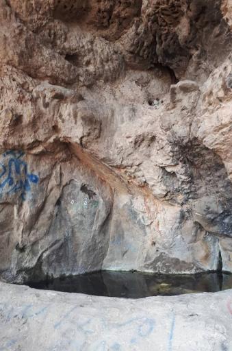 عکس چشمه شیردوش