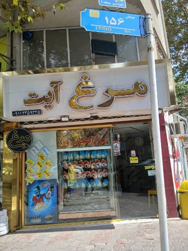 عکس مرغ آیت
