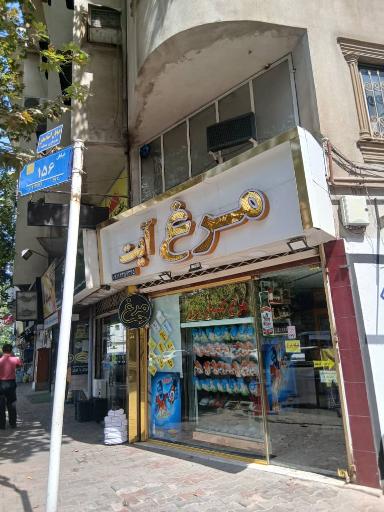 عکس مرغ آیت