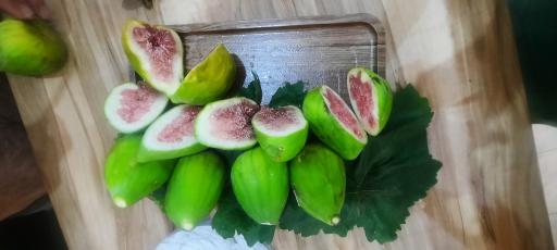 عکس کافه ریچ