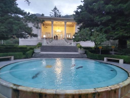 عکس استخر فیل ماهی