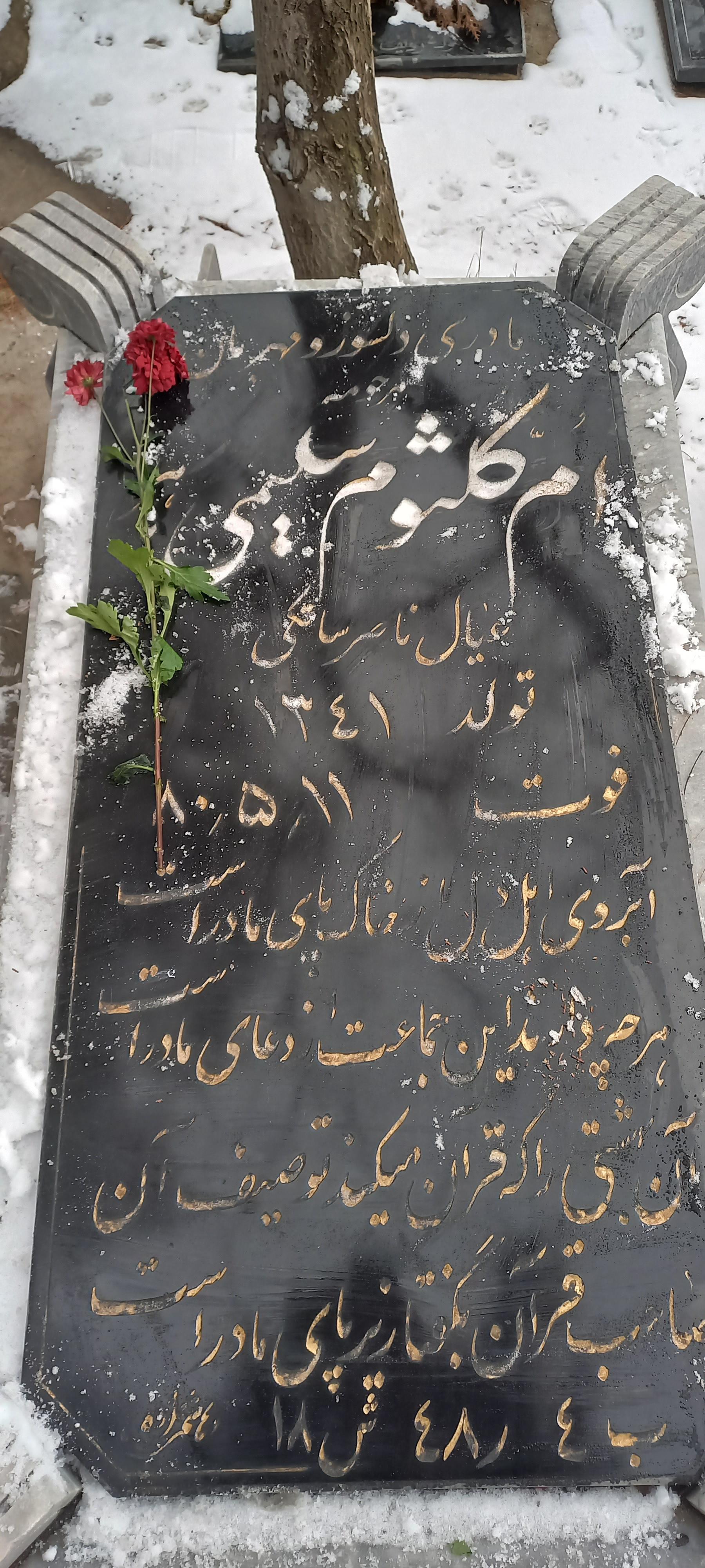 عکس مزار ام کلثوم سلیمی باهر