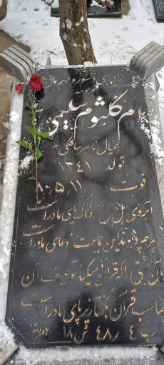 عکس مزار ام کلثوم سلیمی باهر