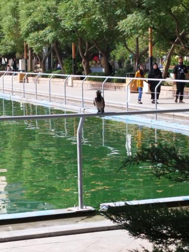 عکس آب نمای کوهسنگی