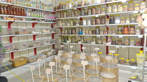 عکس عطاری امام سجاد (ع)