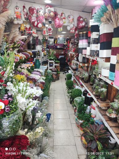 عکس گلسرای لاله