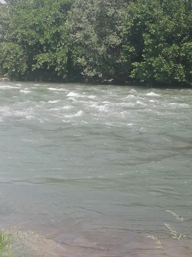 عکس پارک جزیره