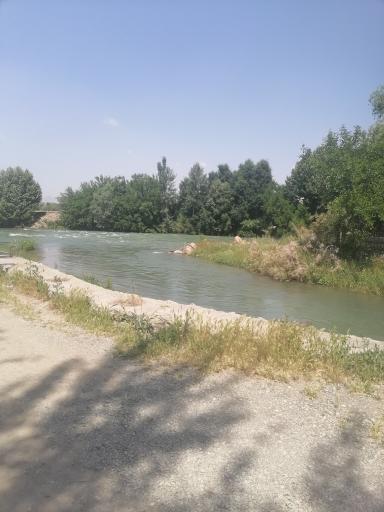 عکس پارک جزیره