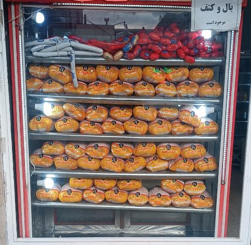 عکس مرغ و ماهی رحیم پور