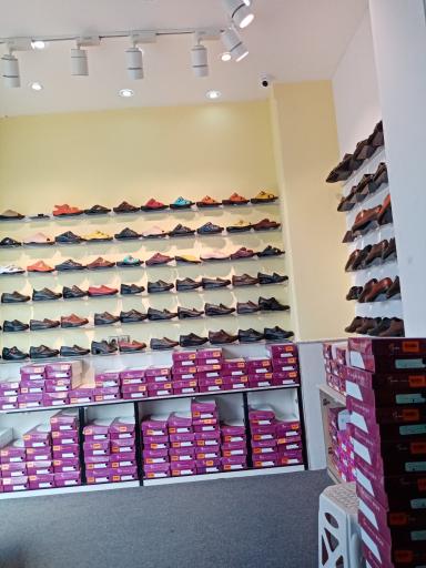 عکس کفش دکتر فام