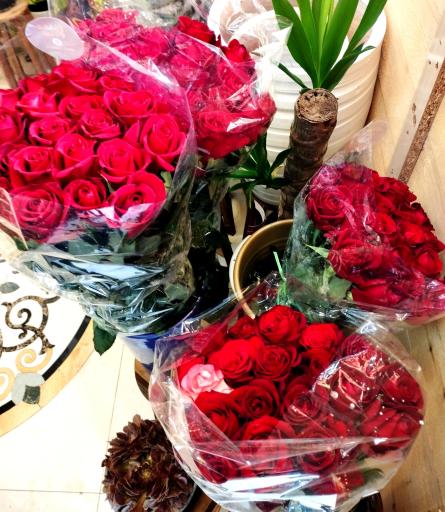 عکس گل فروشی رز طلایی