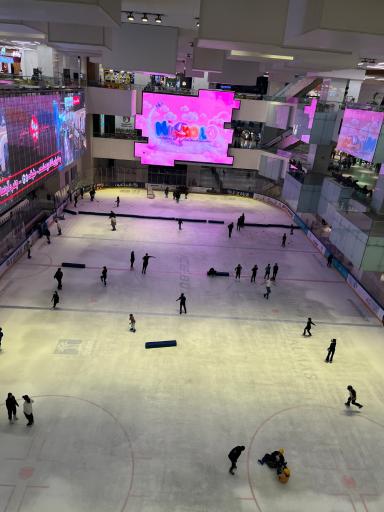 عکس پیست اسکی روی یخ ایران مال