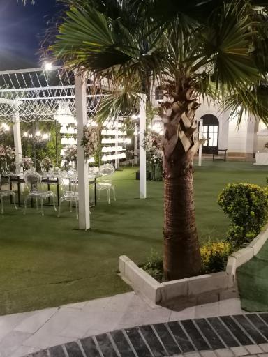 عکس باغ عمارت کبیر